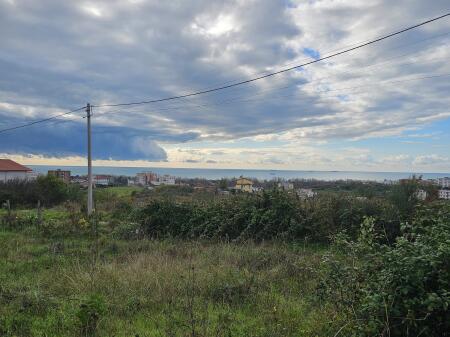 SUPER TOKE PER SHITJE ME PAMJE DETI NE ARAPAJ DURRES