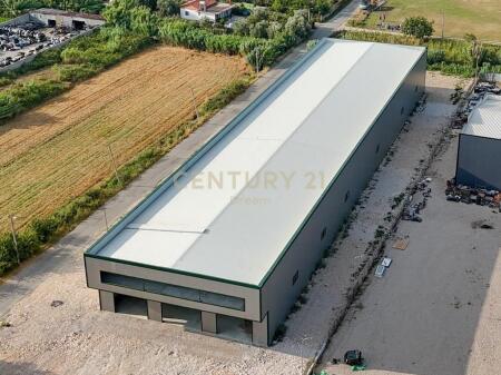 Kapanon me Qira – Shijak, Buzë Rrugës Kryesore