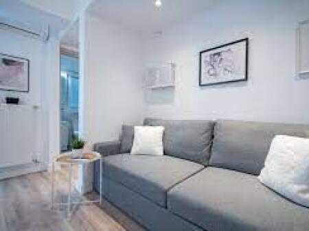 Vile Me Qera 1+1 Tek Rruga e Durresit (ID BV22526) Tirane