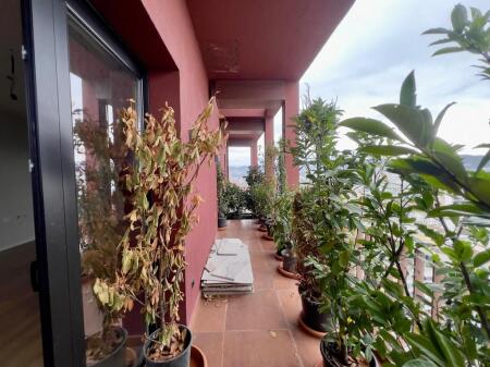 JAPIM ME QIRA AMBIENT PER ZYRA TEK GARDEN BUILDING !