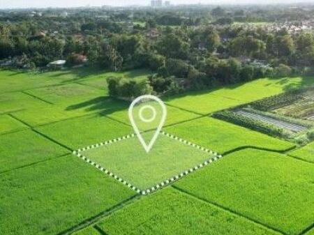 Toke are, Linze/Dajt, 30.000 Euro.