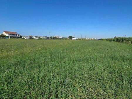 Toke+Ndertim per shitje, Domje