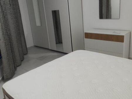 appartamento in affitto 1+1 Fresk