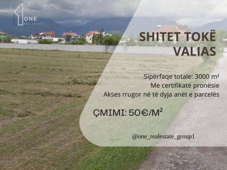Shitet toke Valias
