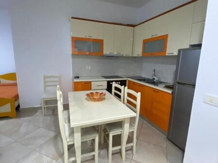 APARTMENT FOR RENT 1+1