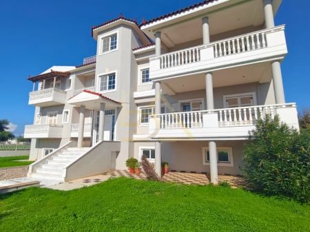 Shitet Vila– Akovitika, Kalamata, Greqi