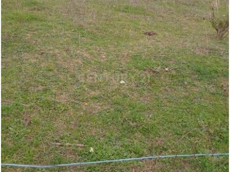 Shitet tokë 500 m² në Kombinat! 22,500 €