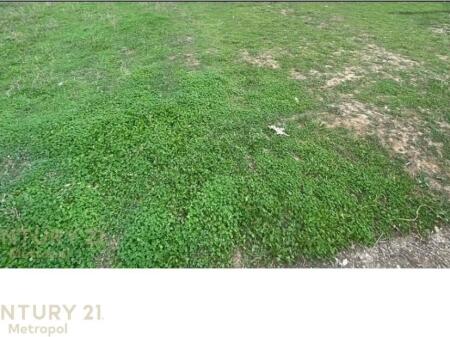 SHESIM 250M2 TRUALL NE KASHAR !