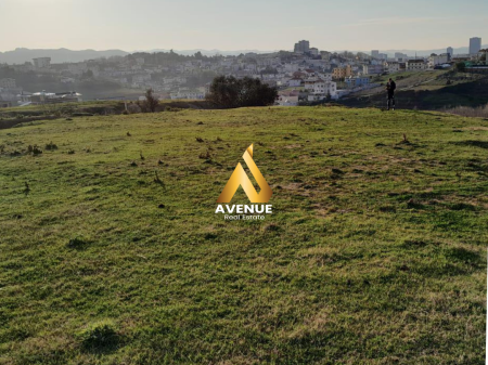 SHITET TOKË NË FARKË – RRUGA PANORAMA E LIQENIT, TIRANË