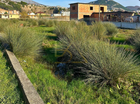 Shitet Tokë – Shëngjin, Lezhë