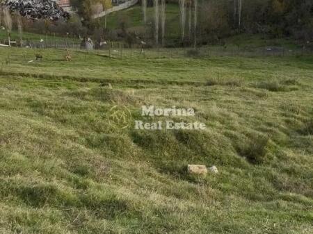 Shitet, Toke Truall, Babrru , 270.000 euro