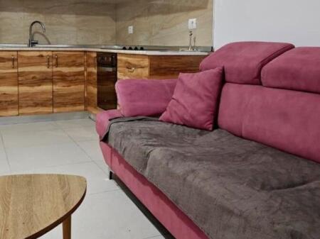 Jepet me qira apartament 1+1 – Allias, Tiranë(MLS # 530581008-65)