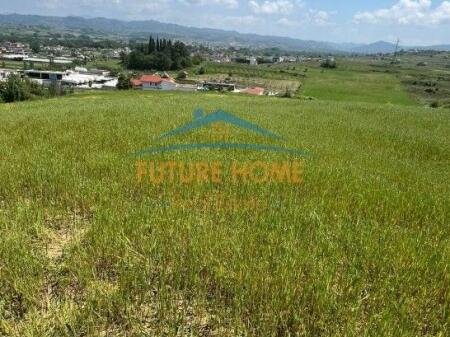 Shitet Toke, 8000 m2, prane Plepave, Durres