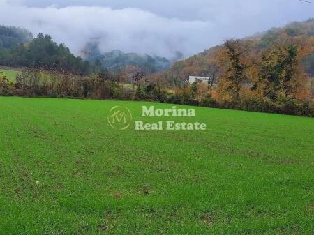 Shitje | Tokë / Truall | Petrelë | 315000 €