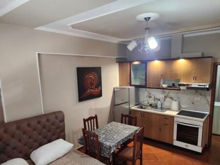 Jepet garsoniere me qera prane sheshit willson