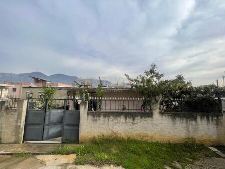 KODRA E PRIFTIT, SHESIM SHTEPI PRIVATE