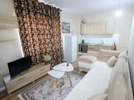 Appartamento 1+1 In Affitto a Fresku, Tirana - 350€