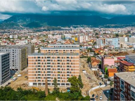 Ambient Zyre, Don Bosko