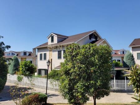 VILE PER QERA PRANE TEG!