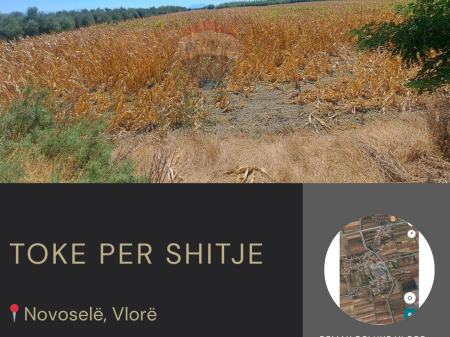 Tokë Bujqësore për Shitje, Novoselë, Vlorë