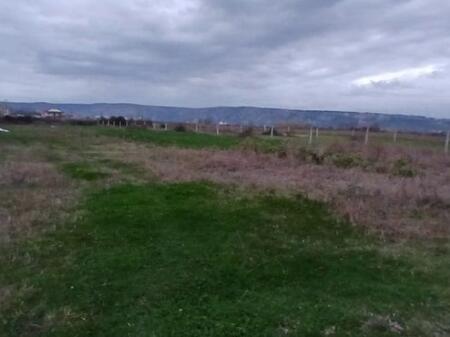 Shitet toke Shëngjin, Lezhë