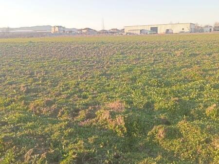 Ofrojme toke per shitje ne tapize