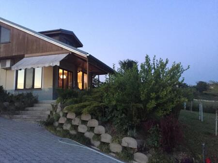 Shitet prone ne Peze