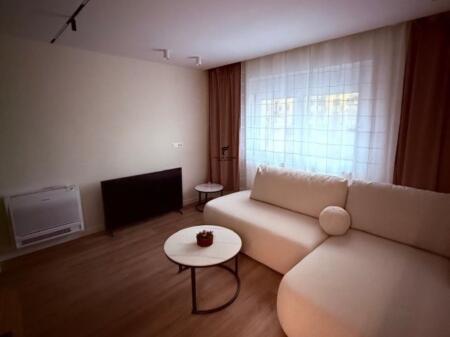 APARTMENT FOR RENT 2+1 21 DECEMBER 85,000 LEKE