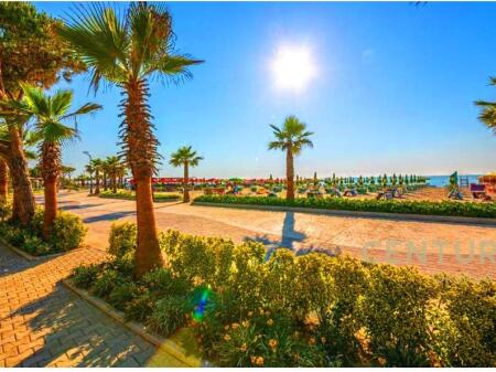 SHITET AMBIENT KOMERCIAL VIJE E PARE BUZE DETIT QERRET