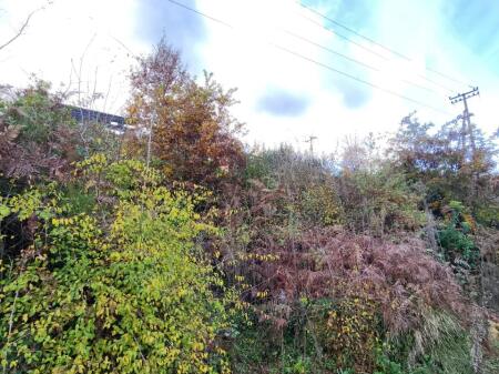 🌍 SHITET: Tokë Arë 604 m² Brenda në Fshat me Pamje nga Pylli & Lumi📍Në Fshatin IBË  39.200€ 🏕