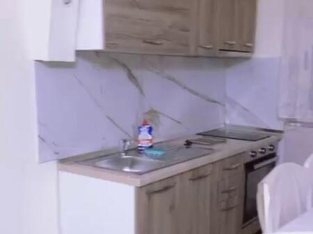 2+1 for rent  At Mine Peza Street near the Center