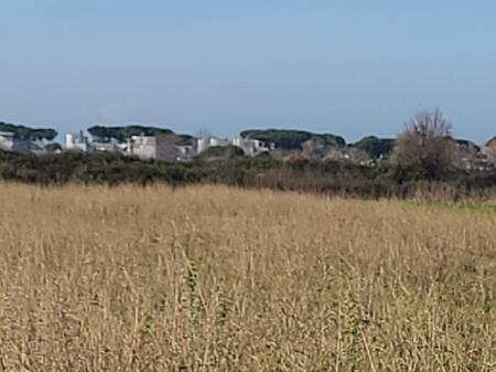 Shitet  toke me dokumenta  te rregullta  Gjiri Lalzit  