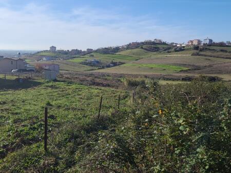 Shitet  toke me dokumenta  Gjiri Lalzit  