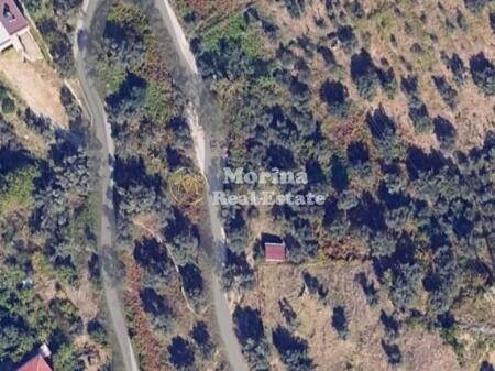 Shitje | Tokë / Truall | Linzë | 70000 €