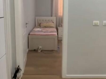 APPARTAMENTO IN AFFITTO 2+1