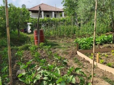 SHITET SHTEPI PRIVATE + TOKE NE SHTISH TUFINE