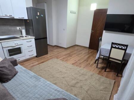 Apartament 1+1+Ballkon me Qira Rruga e Elbasanit