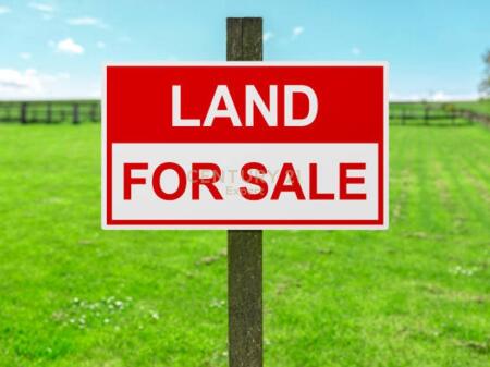 SHESIM TOKE NE VILE BALLAJ-KAVAJE!