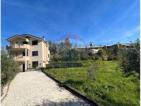 SHESIM VILE ME 3 KATE NE FARKE!