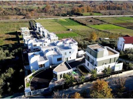 VILE NE SHITJE NE FARKE!