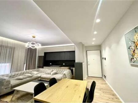 APARTMENT 1+1 FOR RENT IN DELIJORGJ!