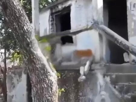 SHITET SHTEPI PRIVATE+TOKE NE QAFE GJASHTE 100.000 EURO