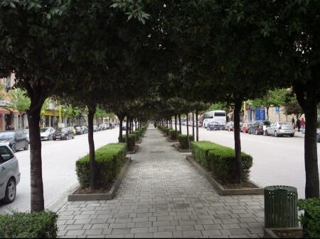 SHOP FOR SALE ZOGU I BOULEVARD