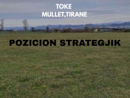 SUPER OKAZION.  Shitet toke ne Mullet.