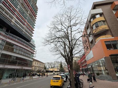 Zyre me qira-131 m2 prane Coin!
