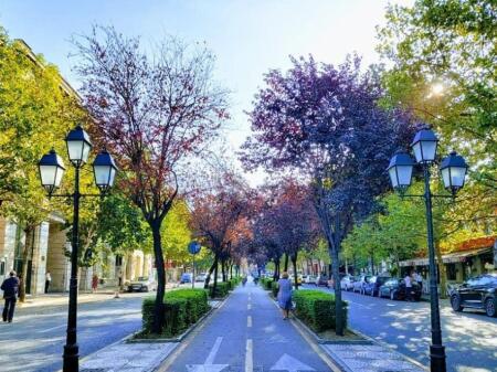 Jepet me qera Ambjent Zyre – Rruga e Bogdanëve