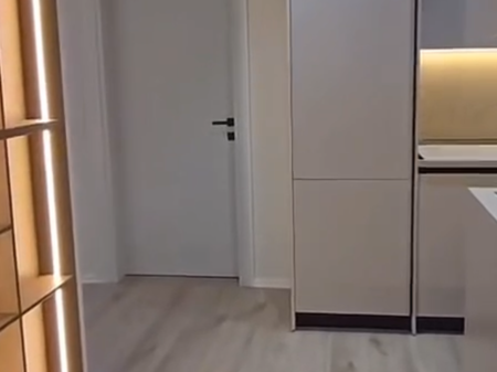 Apartament 1+1, Frederik Shiroka!