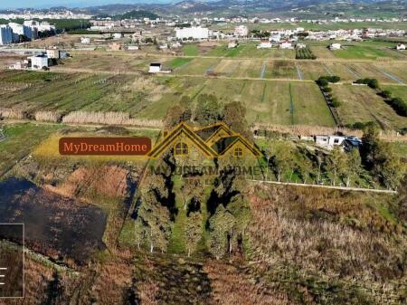 Shitet Toke ne Qerret