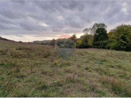 Toke per shitje | FARKE