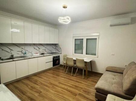 Vile me Qera 1+1 Ne Shkoze (ID BV22555) Tirane